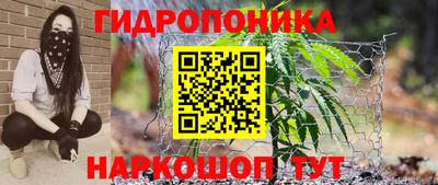 эйфоретик Заводоуковск