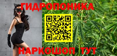 гидропоника Заволжье