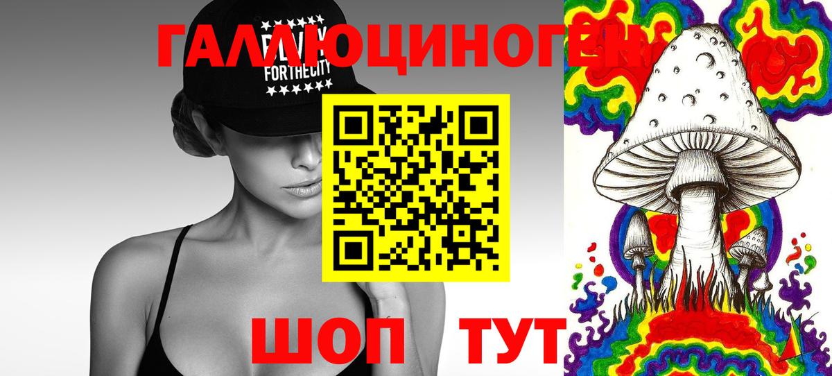 Жигулёвск  Псилоцибиновые грибы мицелий  Вход с VPN  Галлюциногенные грибы Cubensis 